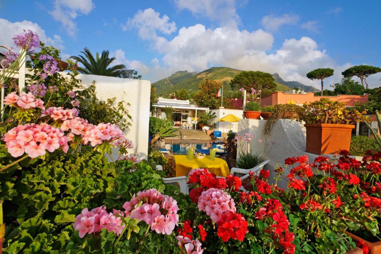 Hotel Villa Mena Forio  Exterior photo